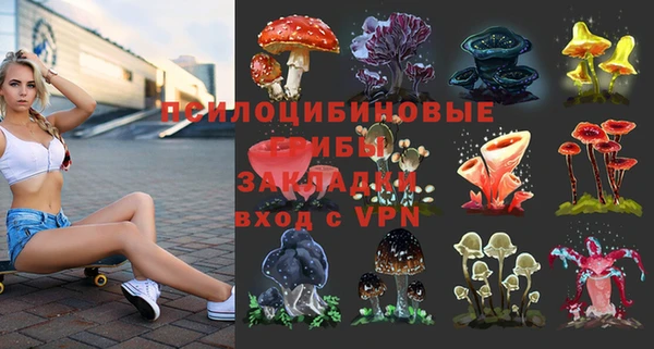 Альфа ПВП Аркадак