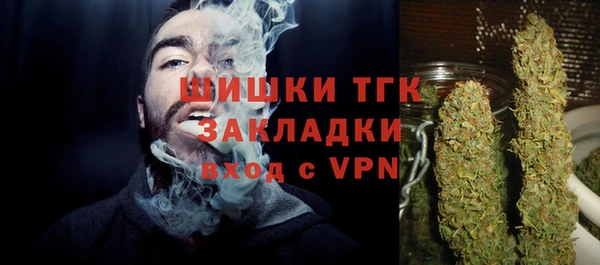 Альфа ПВП Аркадак