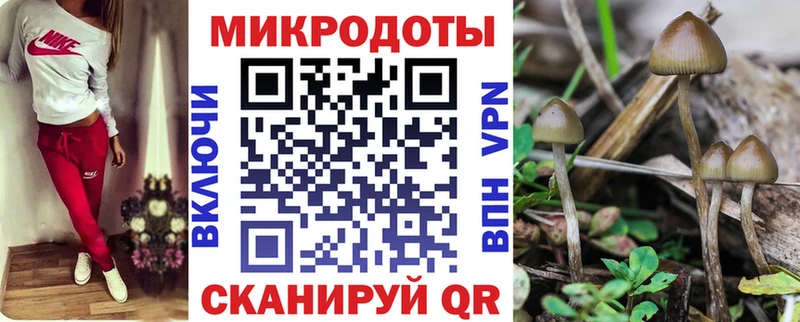 Псилоцибиновые грибы мухоморы  Голицыно 